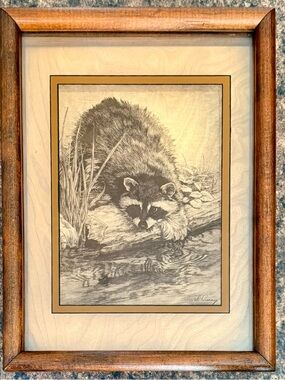 Dennis Curry Signed Raccoon Photograph Raccoon Etched on Glass in Original Frame